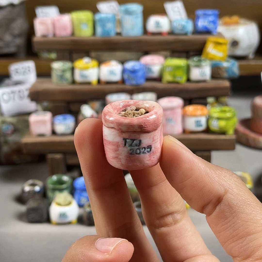 喵***啊坛子姐花盆 百搭耐看省空间设计