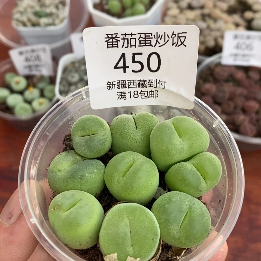 感谢您的支持，00450