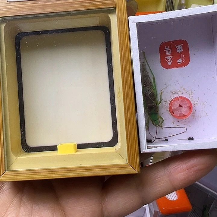 求***缺哈哈哈哈哈哈哈哈哈哈