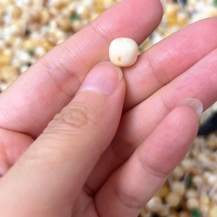 裸石蜜蜡未镶嵌9.1mm一个