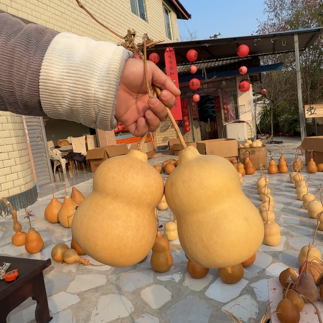 两个90。破价 不退不换