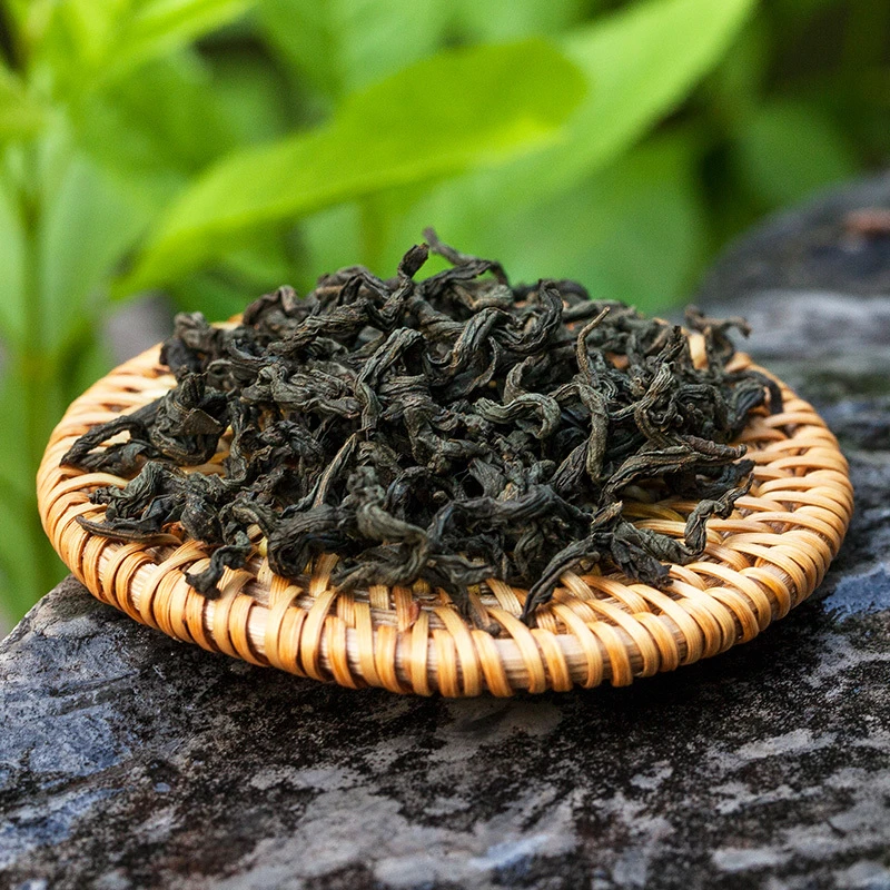 蟠龙金丝脊-植物界的大熊猫