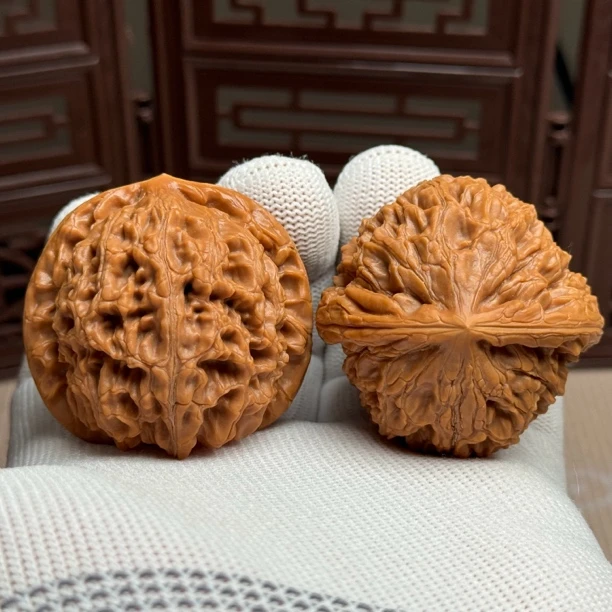 精选水龙纹狮子头，边45肚44高41，原生态山地果，骨质好克重压手