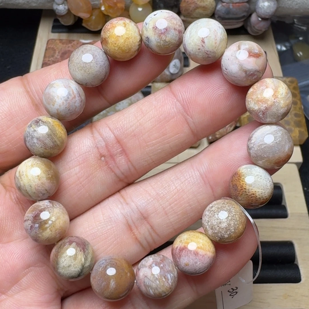 硅化珊瑚（珊瑚玉）未镶嵌纯天然色有机玉石保真色