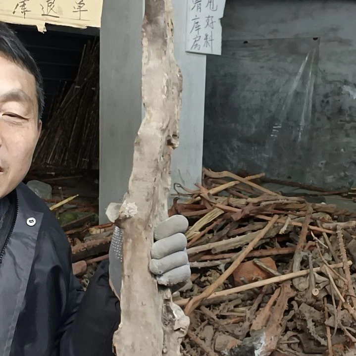 稳定木中**起贵州檬子木   铁马鞭   根艺  半成品