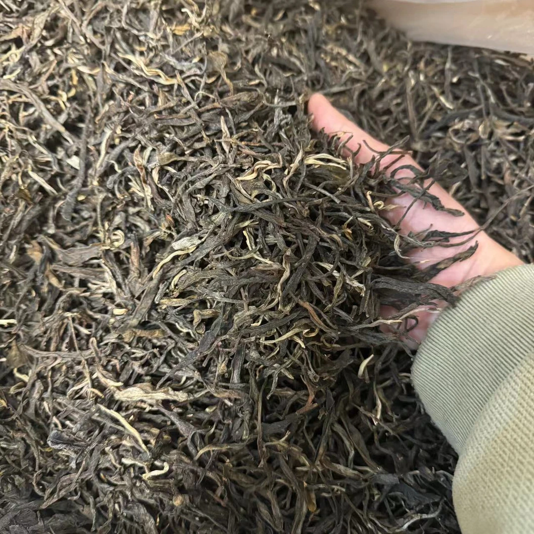 22年新人福利南迫古树普洱春生茶100g