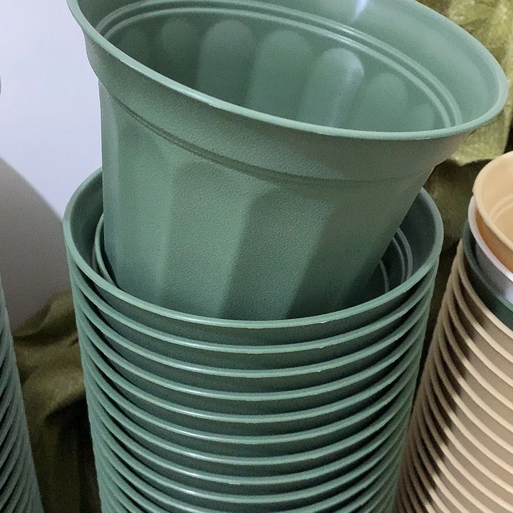 小果汀17口绿5个带托