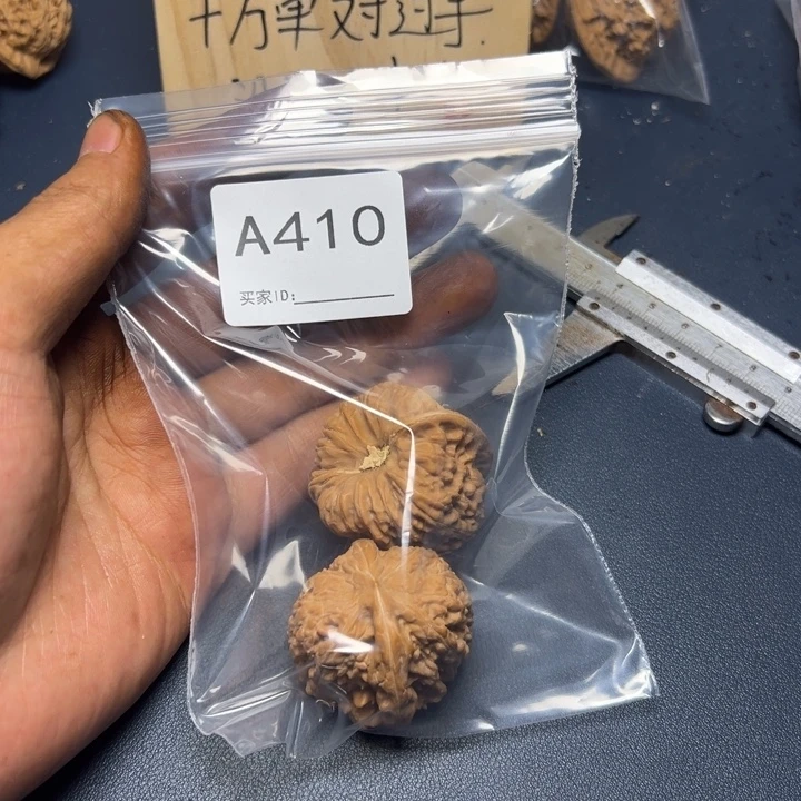 哈哈哈哈我的小可爱