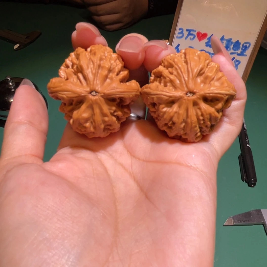 老***儿文玩核桃把件肚39红锦鲤