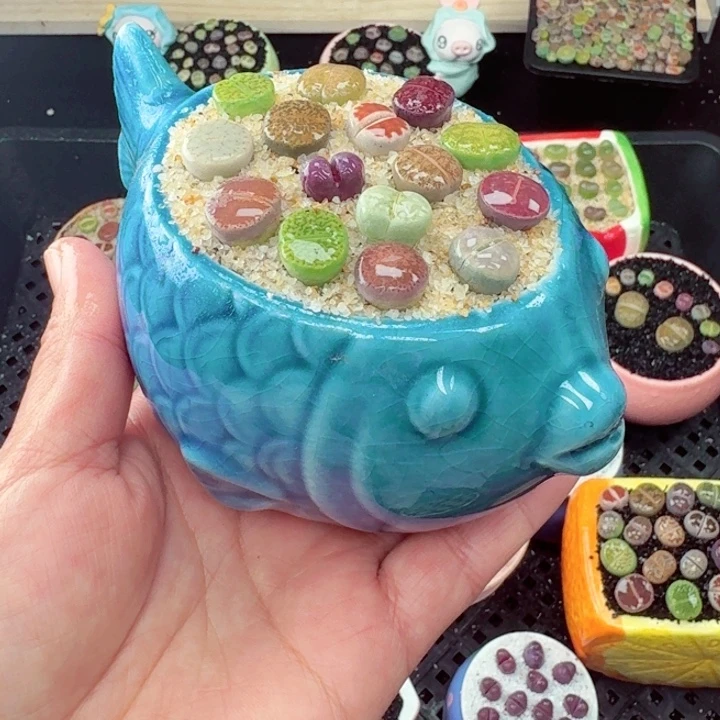 624零下地区记得拍保温箱满18包邮