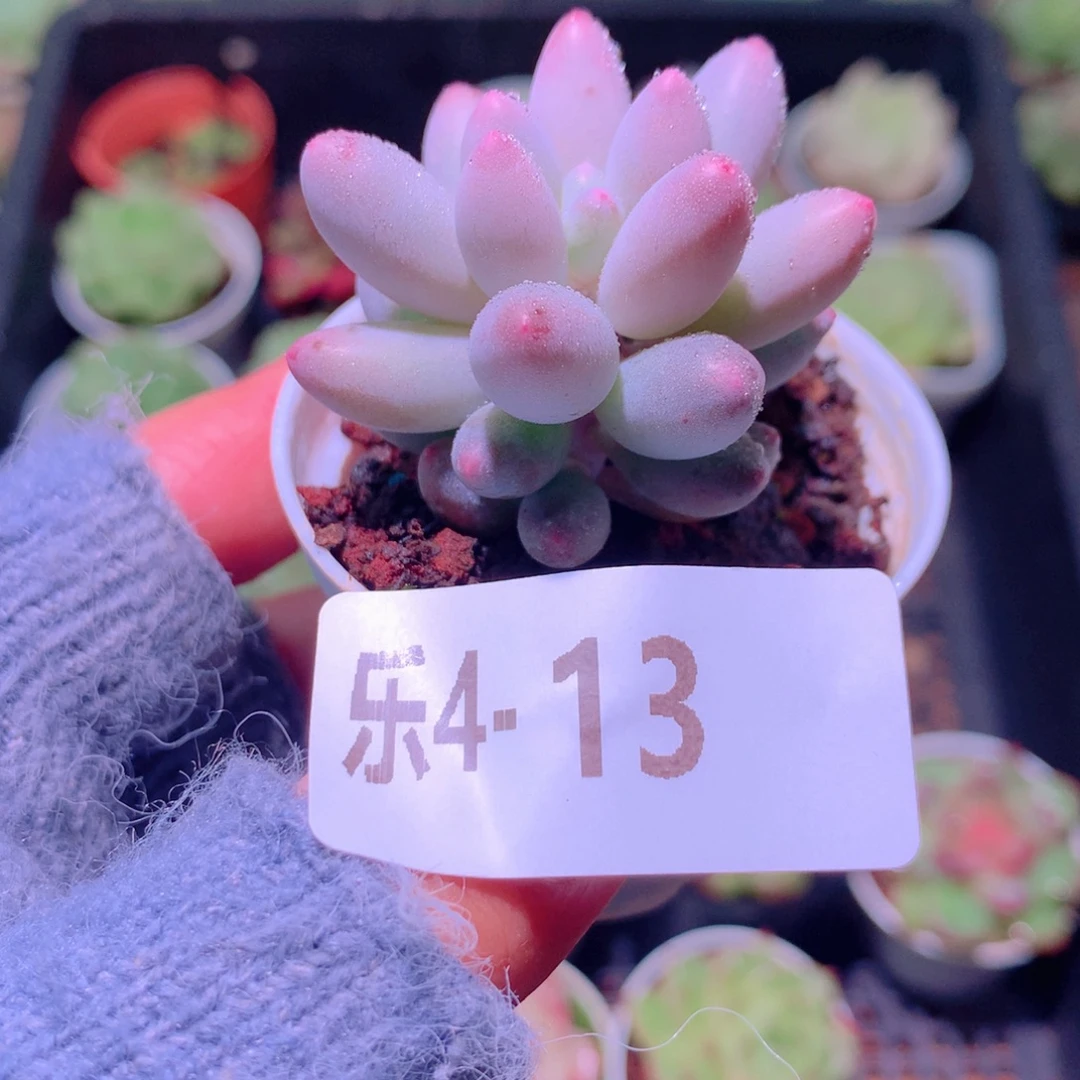 乐然 4-13 婴儿手指