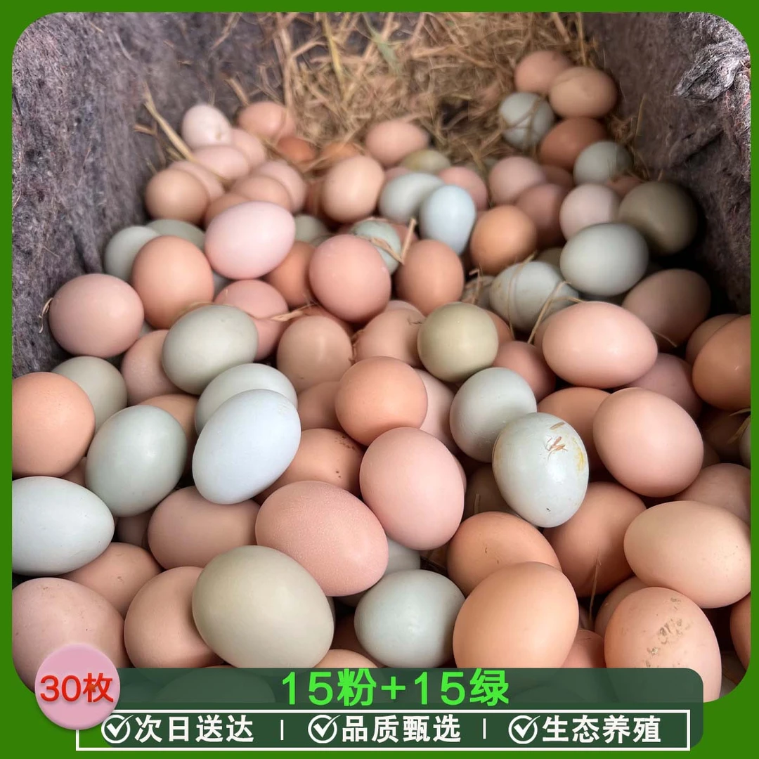 【30枚混装顺丰包邮】湖北生态农家五彩土鸡蛋粉绿鸡蛋鲜鸡蛋30枚混装 鸡蛋同城顺丰送货