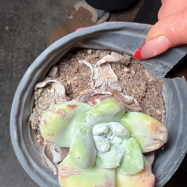 1357哈哈哈哈哈哈哈哈