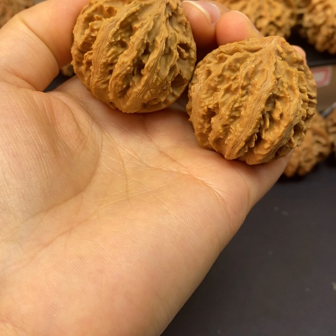 桃核吊坠秦岭霸王龙38全家福