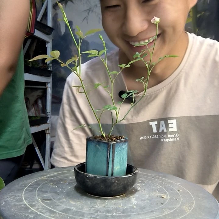 A***r中青园艺一物一拍34