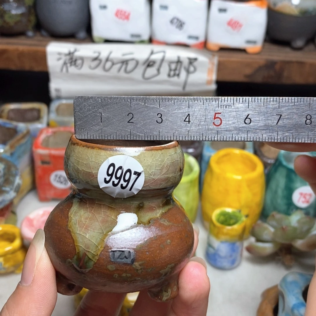 拍5送一个小礼物