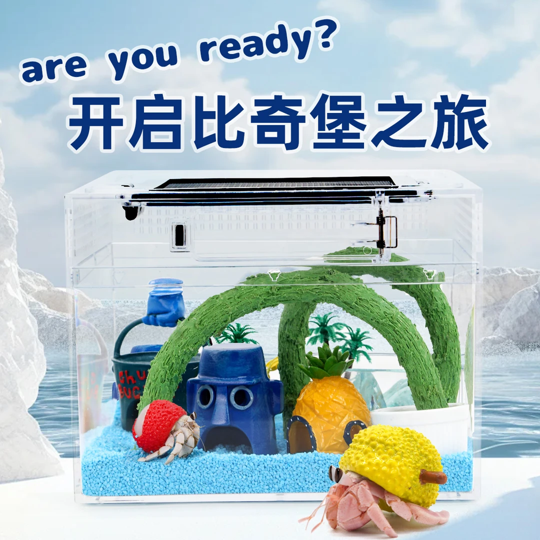 寄居蟹新手饲养箱套餐～桌面高透饲养缸防摔新手宠物饲养套餐礼物
