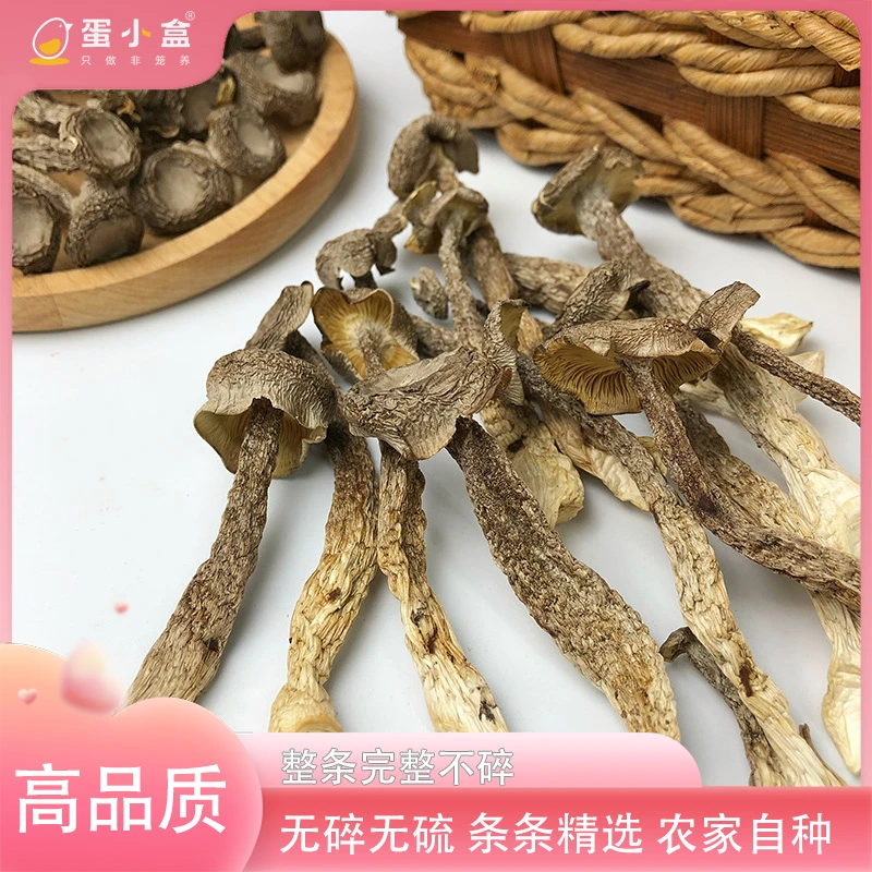 【专属】新品鹿茸菇优质正品干货一级脆菌到手50g/袋煲汤