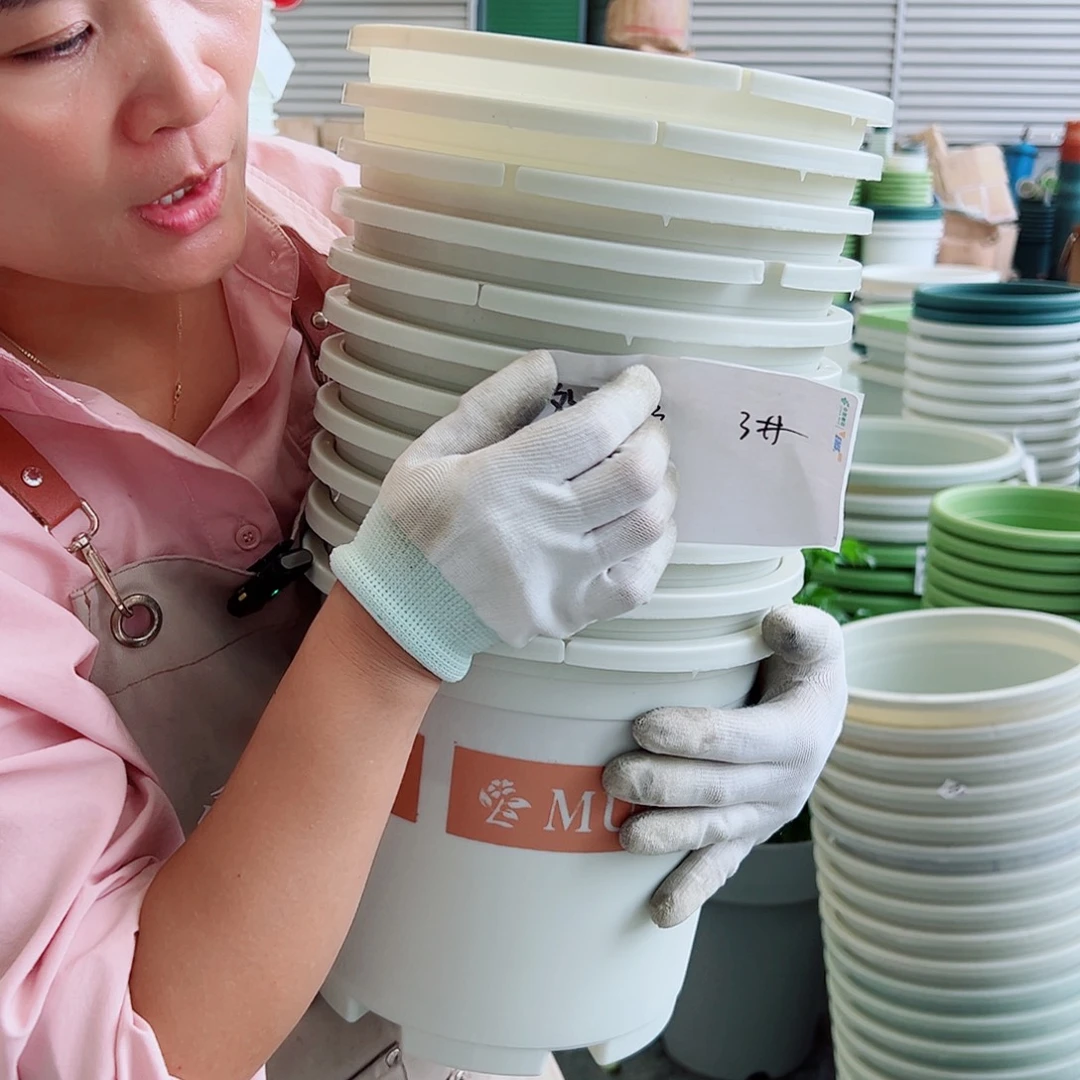 瑕疵3加仑米白色10个无托