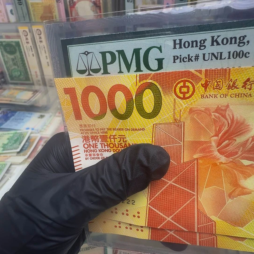 纸大脑袋单张号码632222