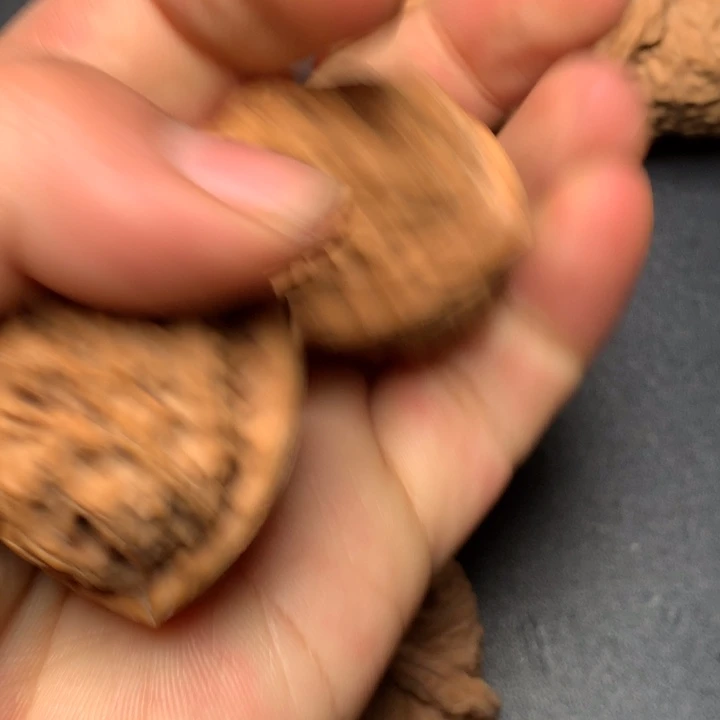 文玩核桃把件37白狮子620