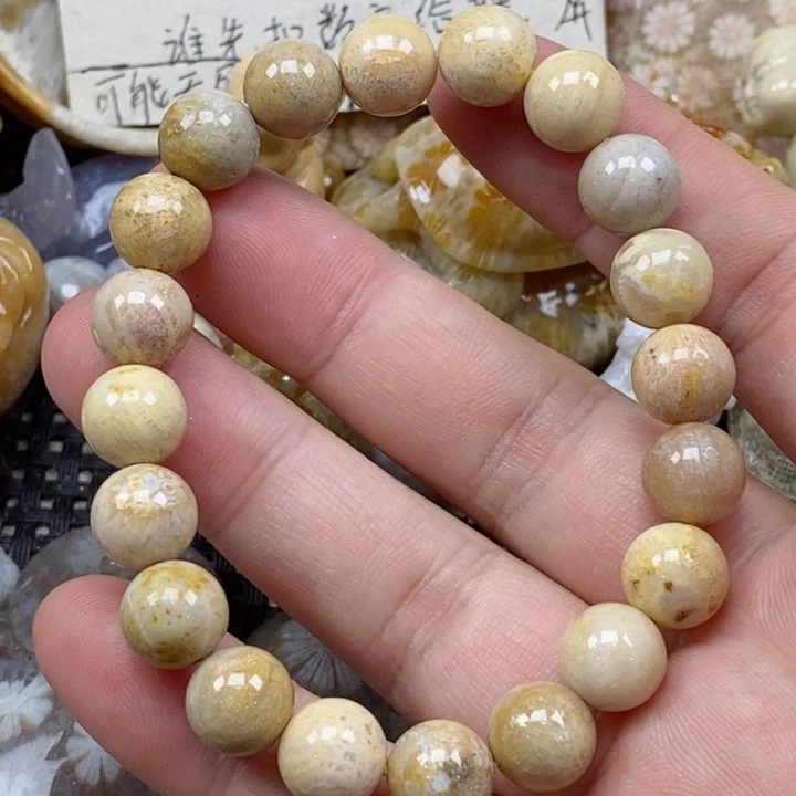 颈饰未镶嵌硅化珊瑚（珊瑚玉）