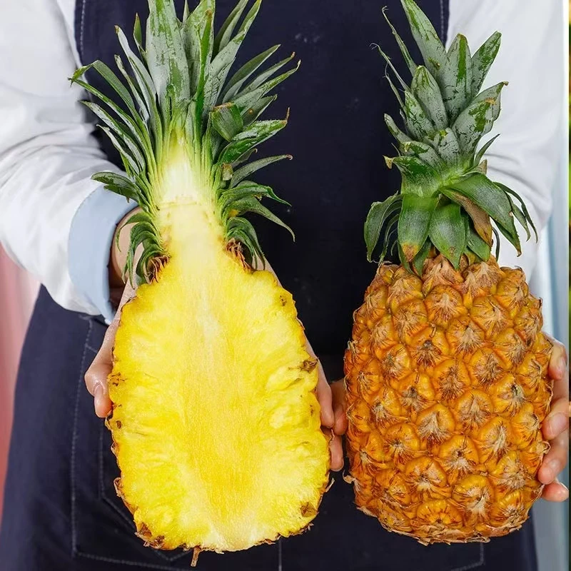 【阿妈味道推荐】海南金钻凤梨/鲜甜多汁/4.5-5斤