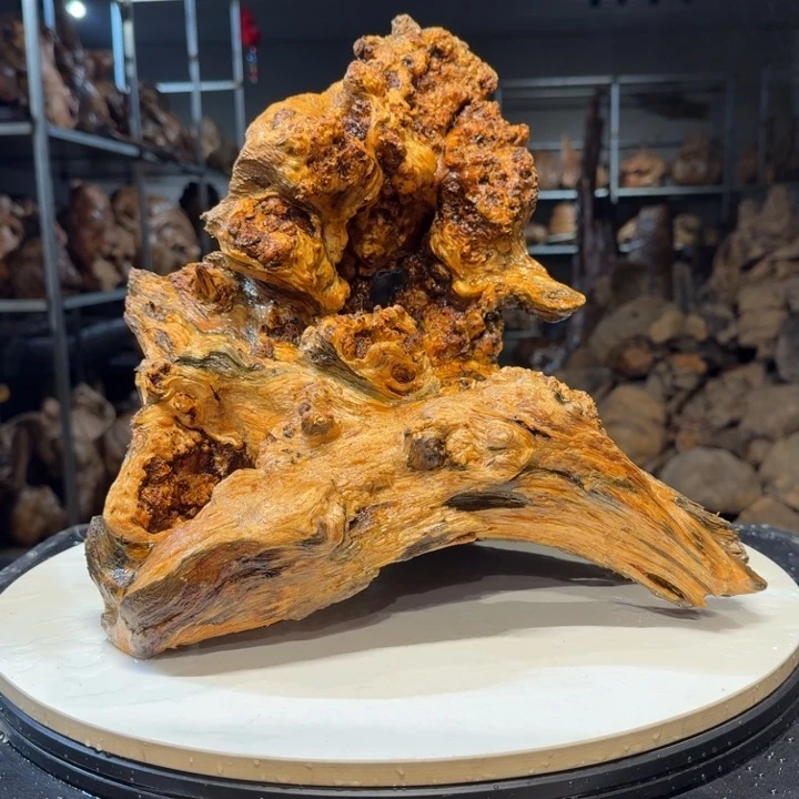 木卓*者王一刀琥珀木31