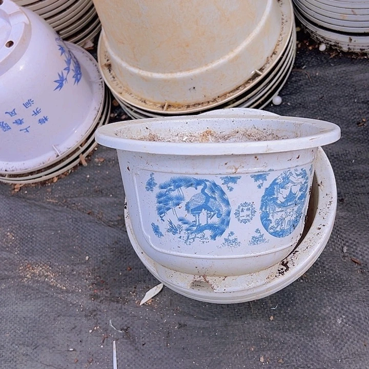 花开富贵口径18.5高12发15个