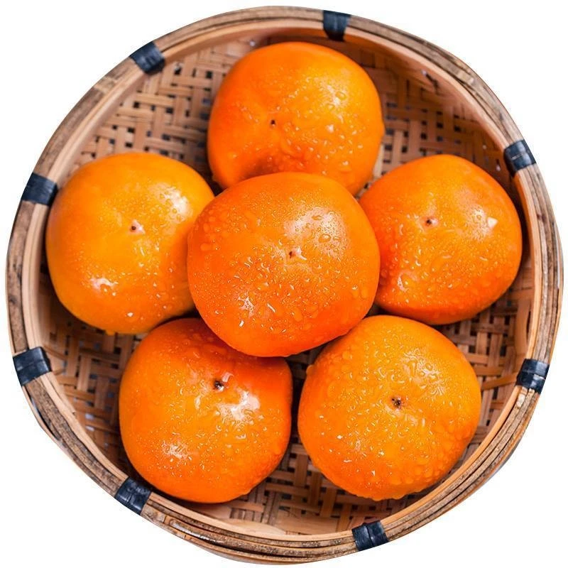 【淘天然】新鲜柿子阳丰巧克力脆柿子4.5斤甜柿子硬柿子削皮即食