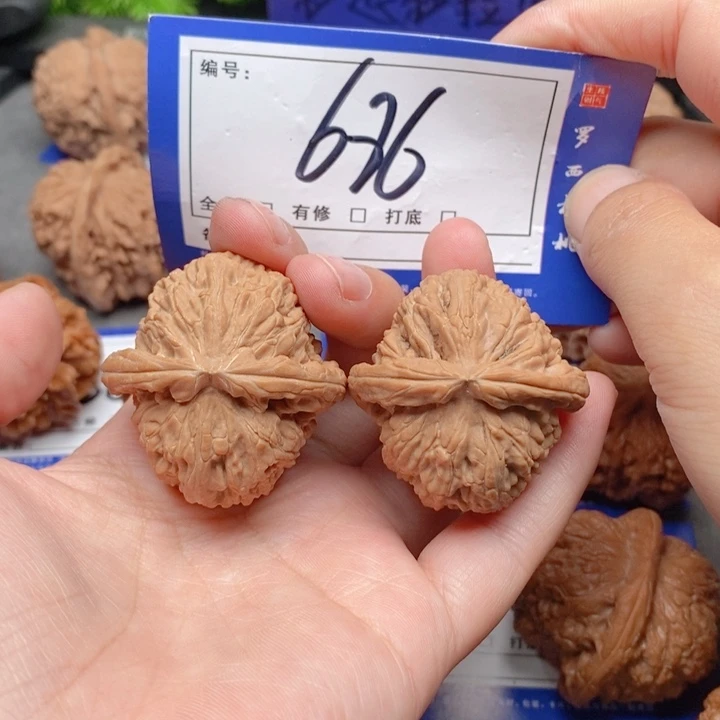 把件桃核38全品白狮子686号牌