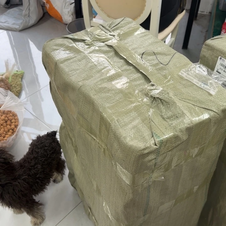 桃核吊坠不要拍 压车