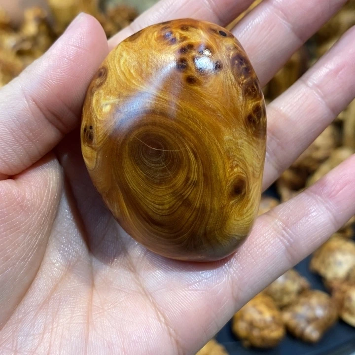 柏木（崖柏）崖柏88