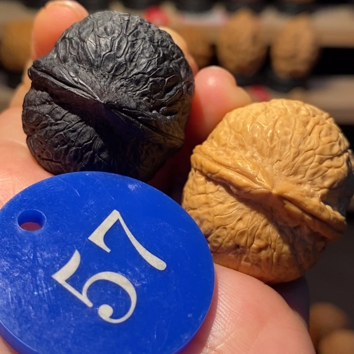 木质类双色蛇皮球34尺寸