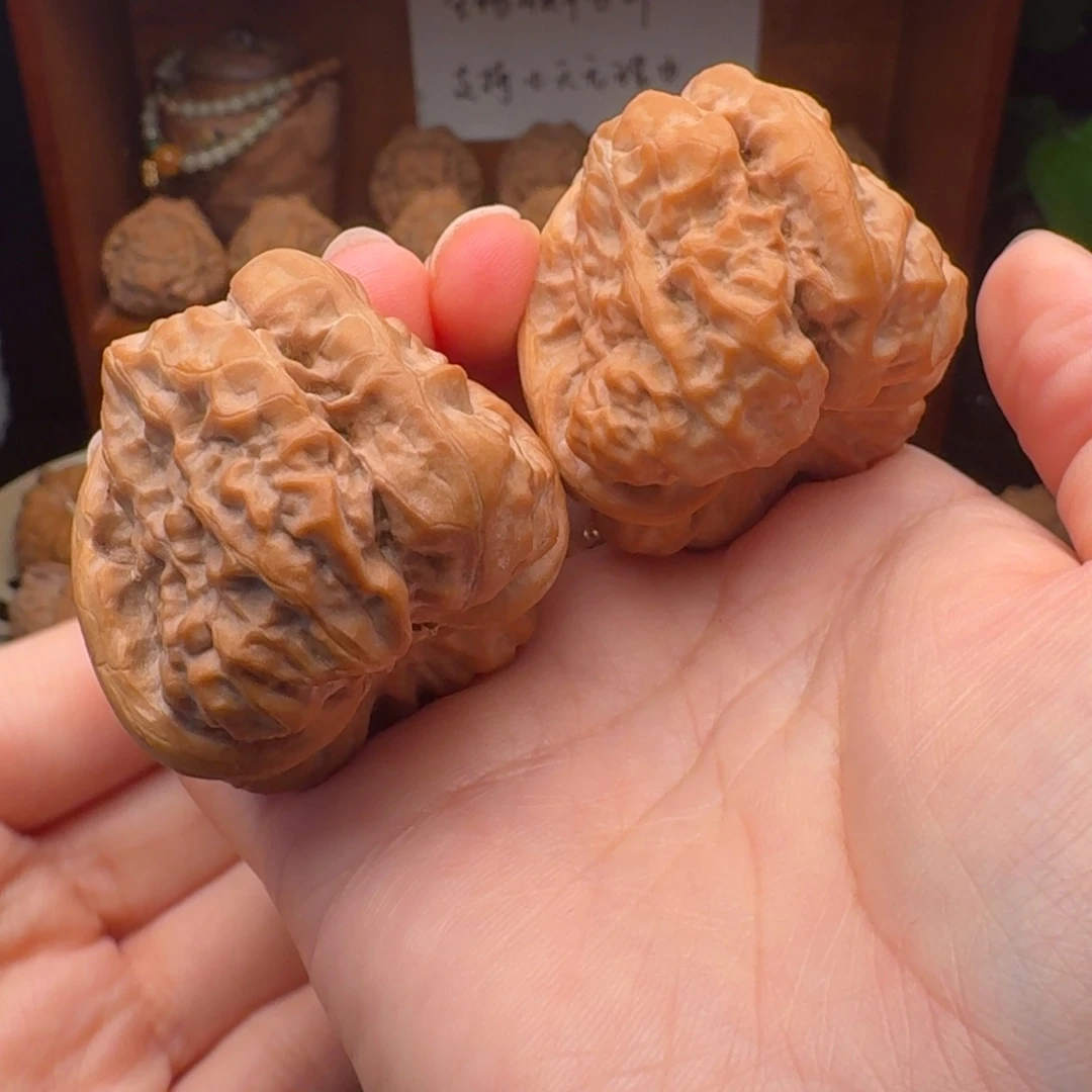 文玩核桃闪购三角箭毒蛙42