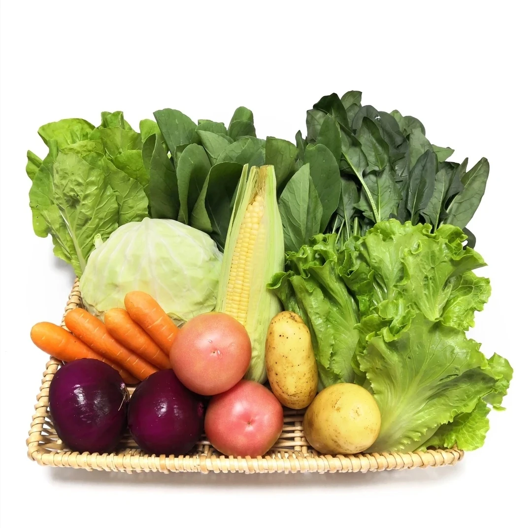 [同源南滇]蔬菜水果干货有机