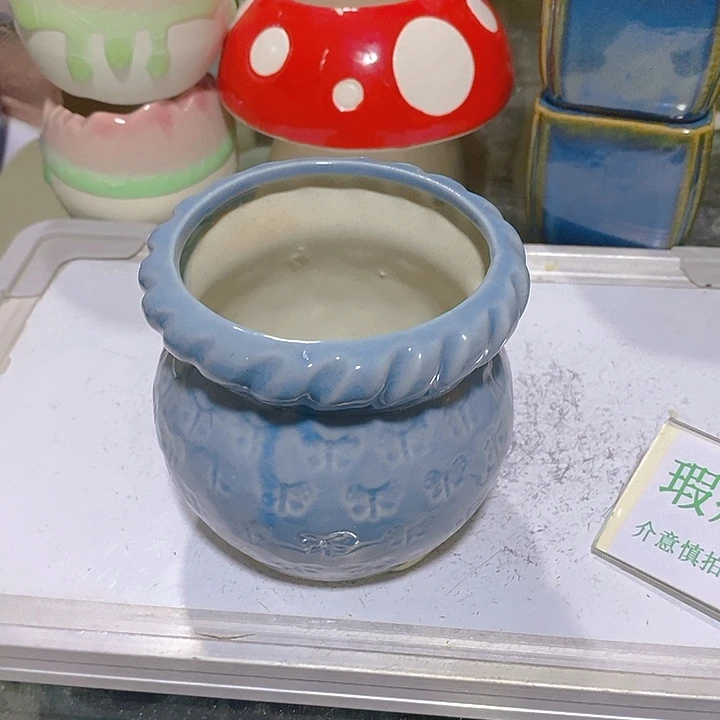 摆件多肉瑕疵盆有孔。