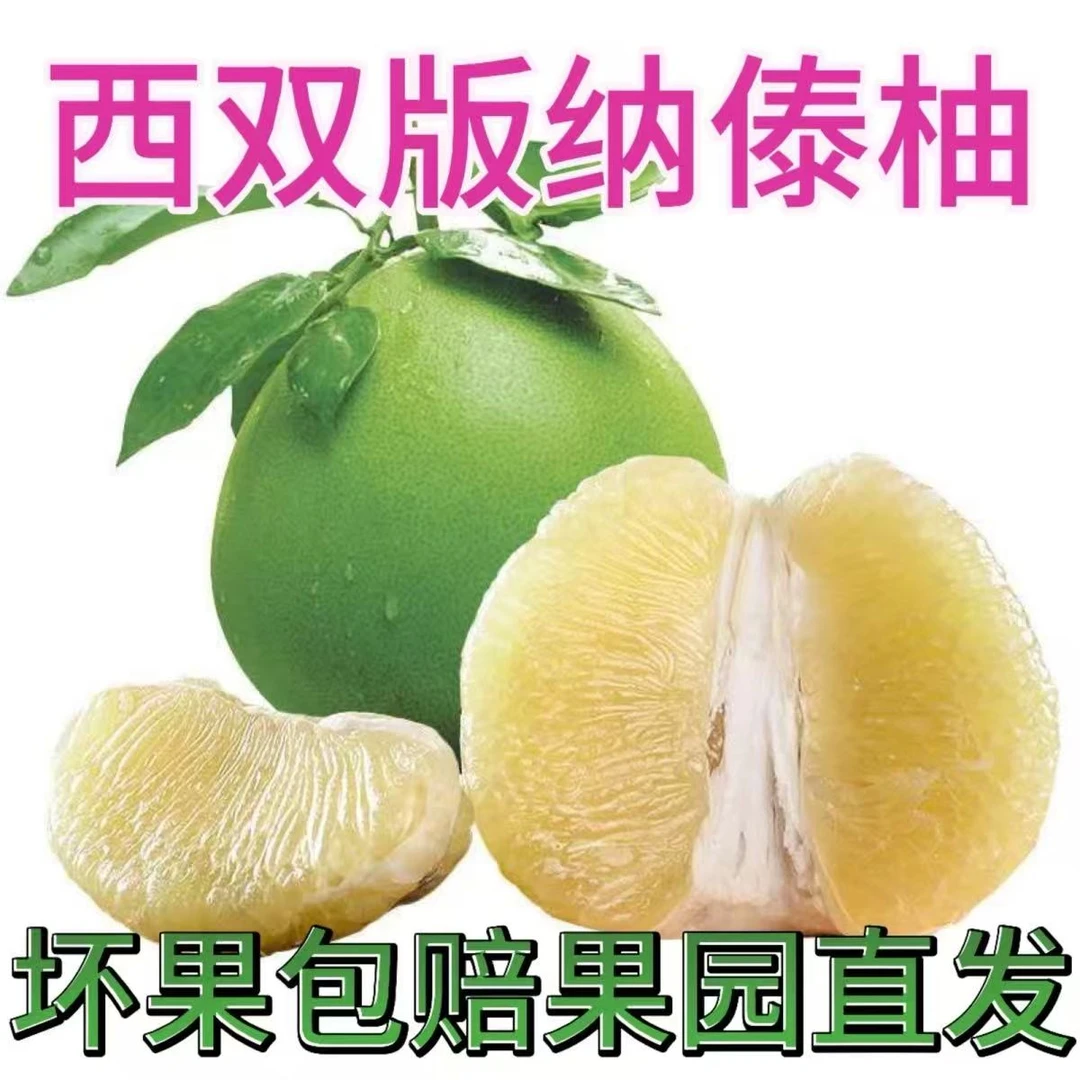 正宗西双版纳爆甜多汁傣柚青柚东试早皮薄肉厚产地直销