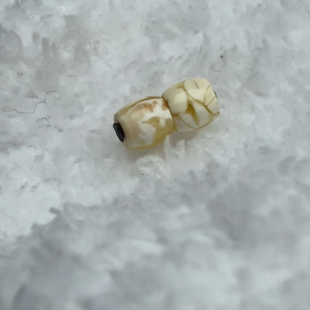 琥珀未镶嵌裸石6mm弟子珠一对