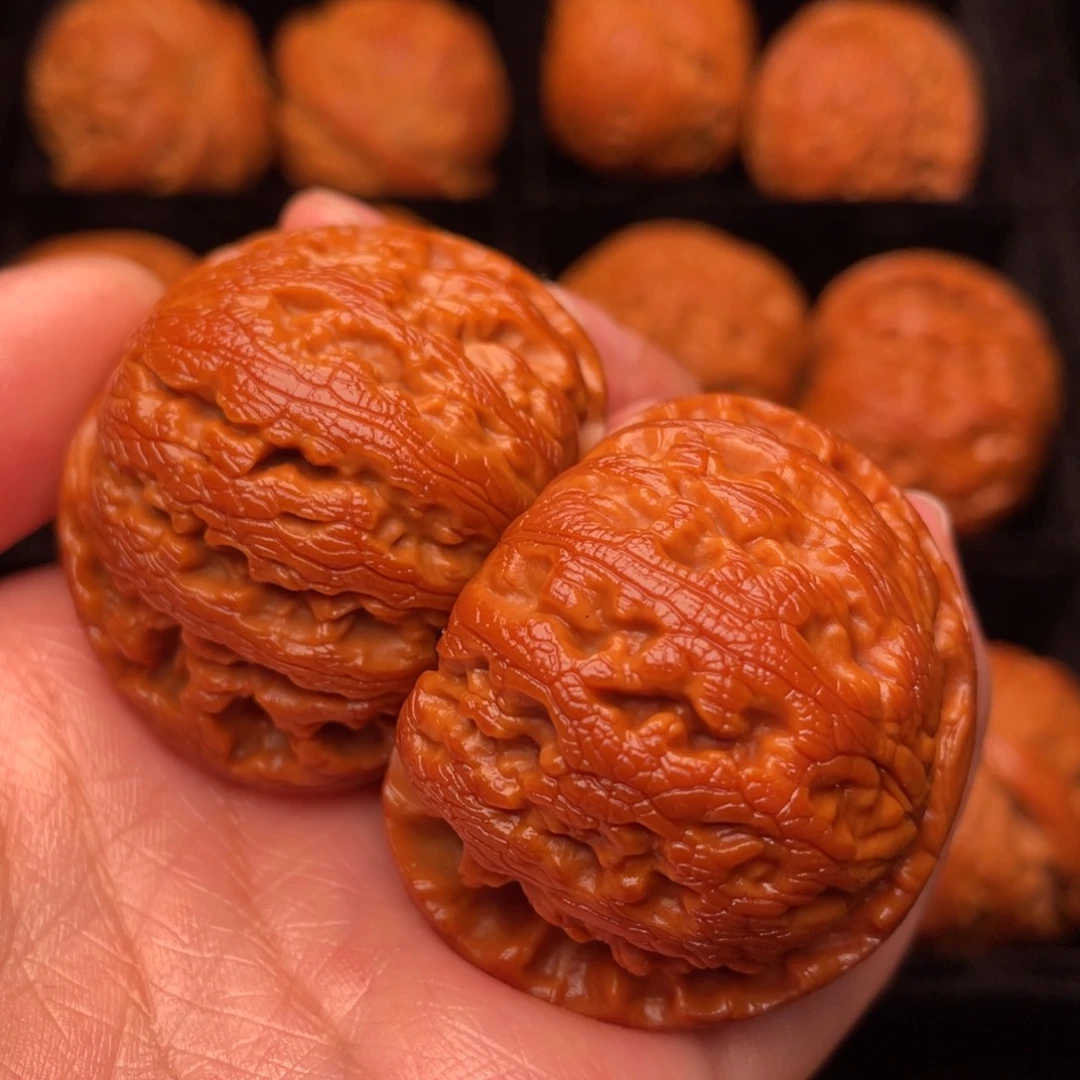 秦岭野生核桃文玩