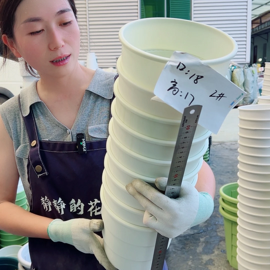 瑕疵多孔盆2#白色8个无托