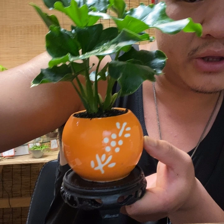 一物一拍所见即所得112