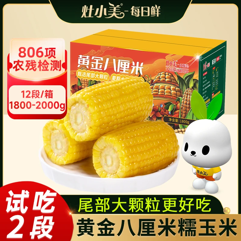 【试吃两段】灶小美黄糯玉米黄金八厘米内蒙古新鲜营养早餐低脂粗粮