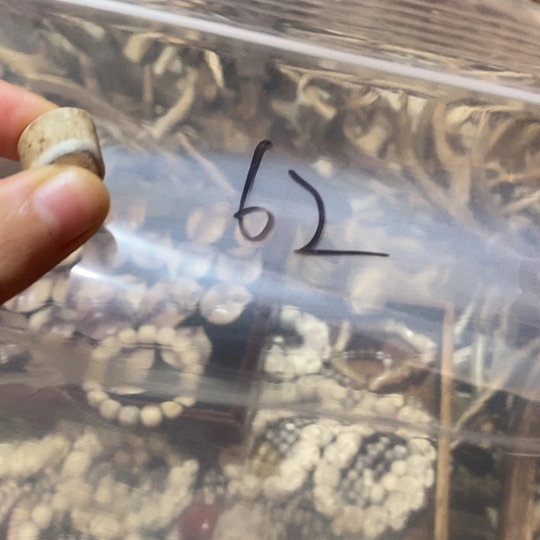 镂***空非金属鹿角鹿角鹿角
