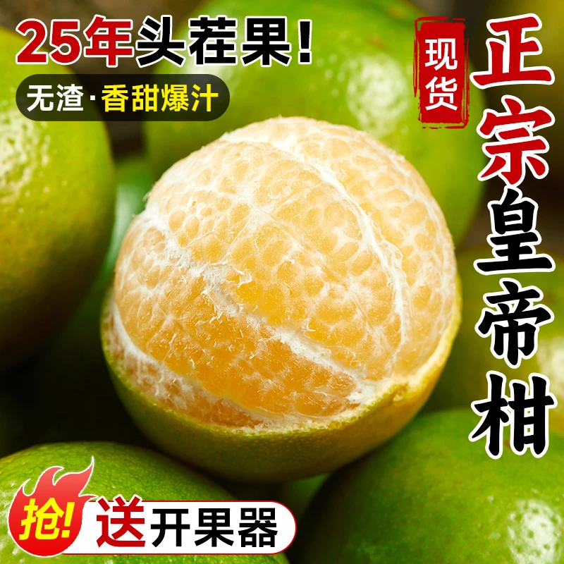 正宗广西皇帝柑新鲜橘子水果当季现摘蜜桔子贡柑甜橘老树大果包邮