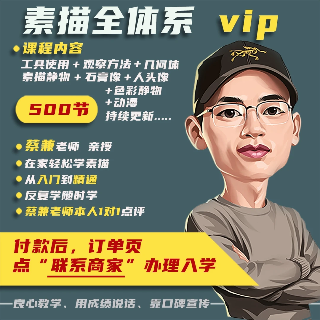 素描全体系课VIP九合一蔡兼画画课程美术绘画素描静物素描入门