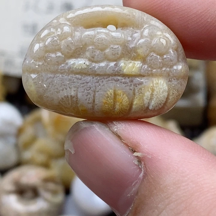 颈饰未镶嵌硅化珊瑚（珊瑚玉）小