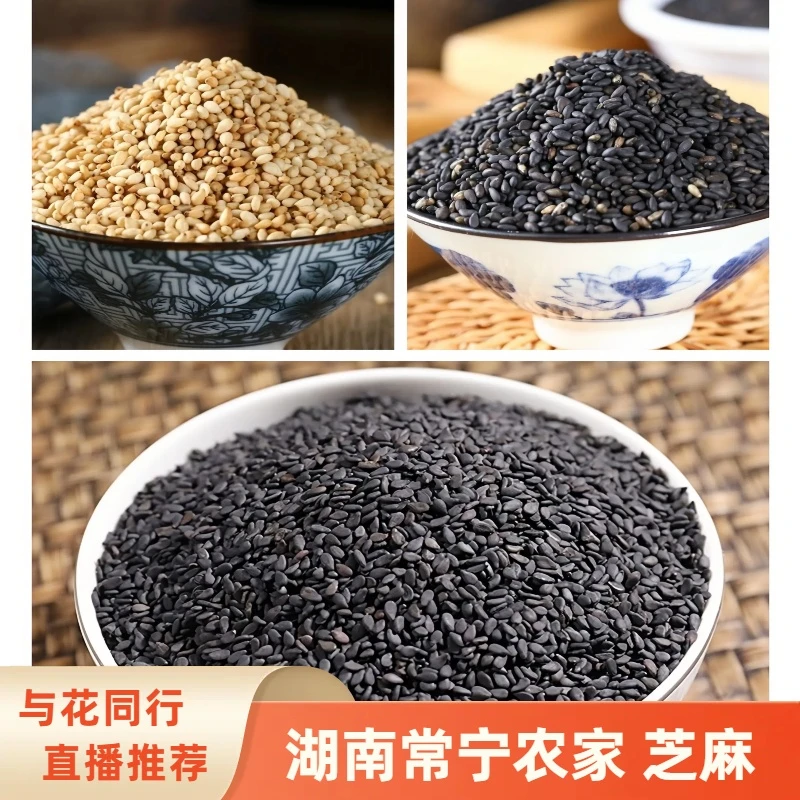 【与花同行直播推荐】湖南常宁特产农村自晒干黑芝麻