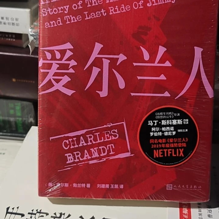 爱尔兰人平装塑封库存书