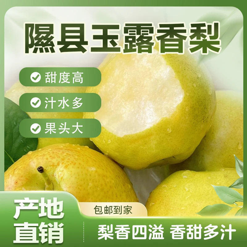 山西隰县玉露苹果香梨脆甜多汁细腻化渣产地直发包邮玉露香梨梨子
